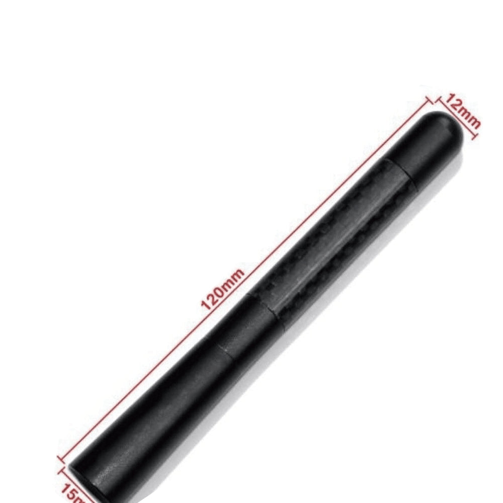 Universal 4.7 Inch Carbon Fiber Car Antenna with Screws